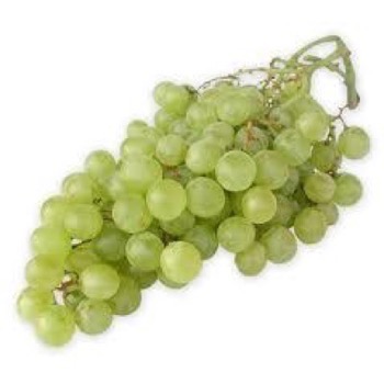 Vinkoncentrat Hvid Drue 1 liter (65 Brix)