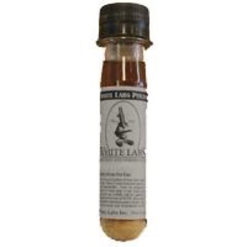Australian Ale Yeast (WLP009) KUN Jan-Mar