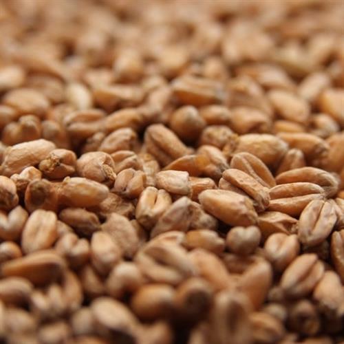 Weyermann - Oak Smoked Wheat (4-6 EBC)