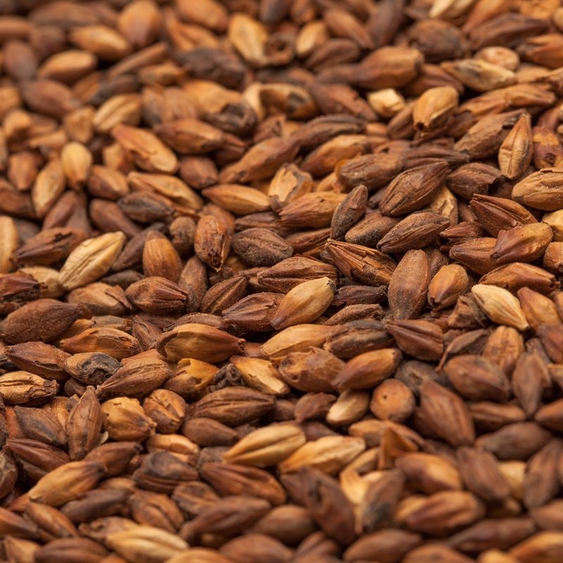 Bestmalz - Special X malt (300-400 EBC)