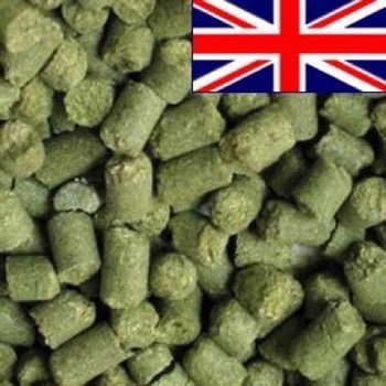 East Kent Goldings (2021) - 100 g pellets - 5,7% AA