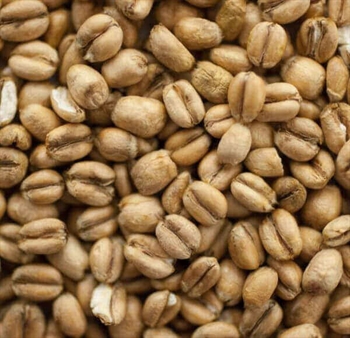 Warminster Maltings - Torrified Wheat (2,5-4,5 EBC)