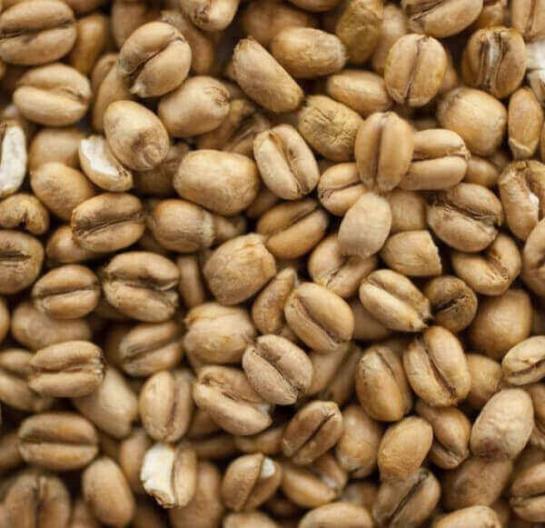 Crisp Malting - Torrified Wheat (3 - 4,5 EBC) 
